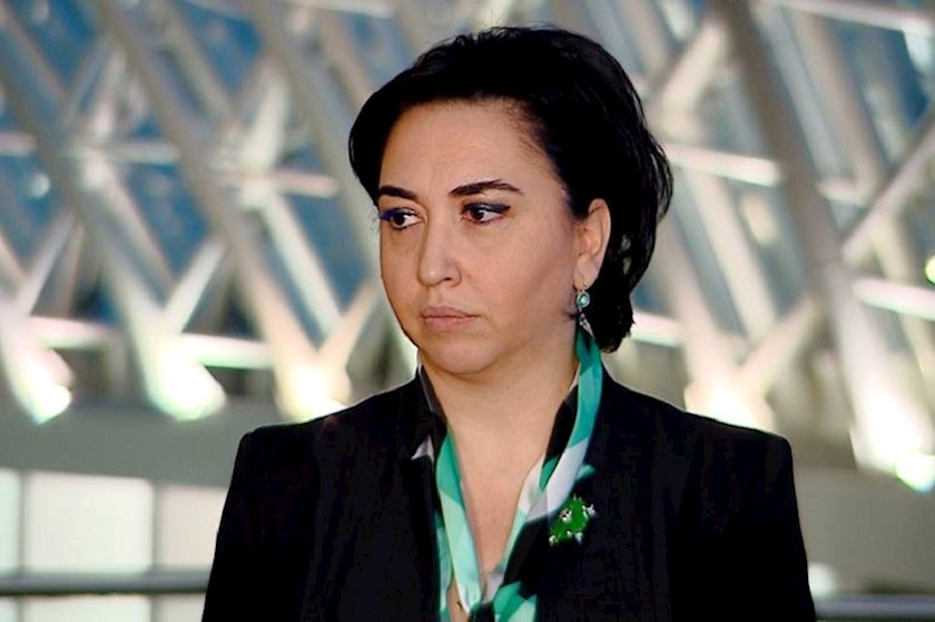 ეკა ბესელიას და რომან გოცირიძეს შორის სიტყვიერი დაპირისპირება მოხდა 