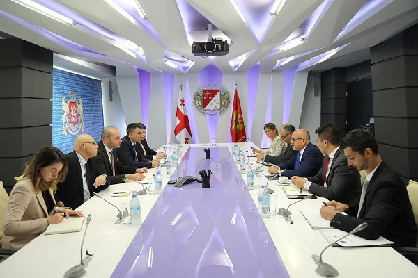 მამუკა ბახტაძე მონტენეგროს საგარეო საქმეთა მინისტრს შეხვდა