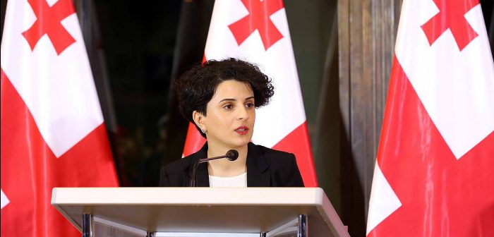 მიხეილ კალანდიას მიმართ სისხლის სამართლებრივი დევნის დაწყებაზე გადაწყვეტილება პროკურატურამ უნდა მიიღოს - ნათია მეზვრიშვილი 
