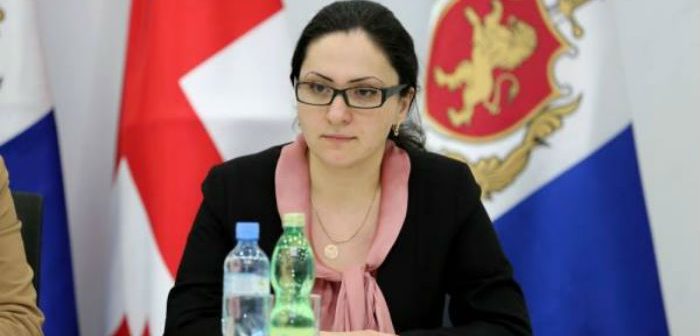 კონკრეტული კითხვის ნიშნები რაც დაგვრჩება, ამას ბუნებრივია, ავსახავთ დასკვნაში - სოფიო კილაძე