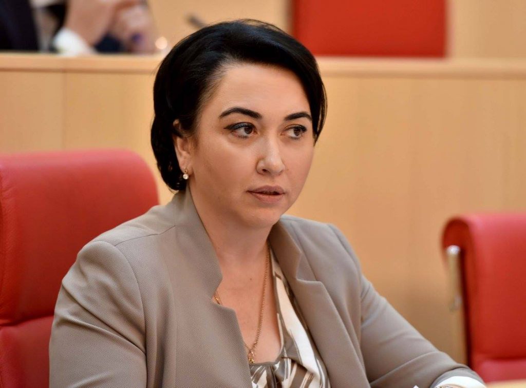 „ევროპული საქართველოს“ წევრებს არ აინტერესებთ, რა ინფორმაცია შეიძლება მიაწოდოს კომისიას მოწვეულმა პირებმა - ეკა ბესელია