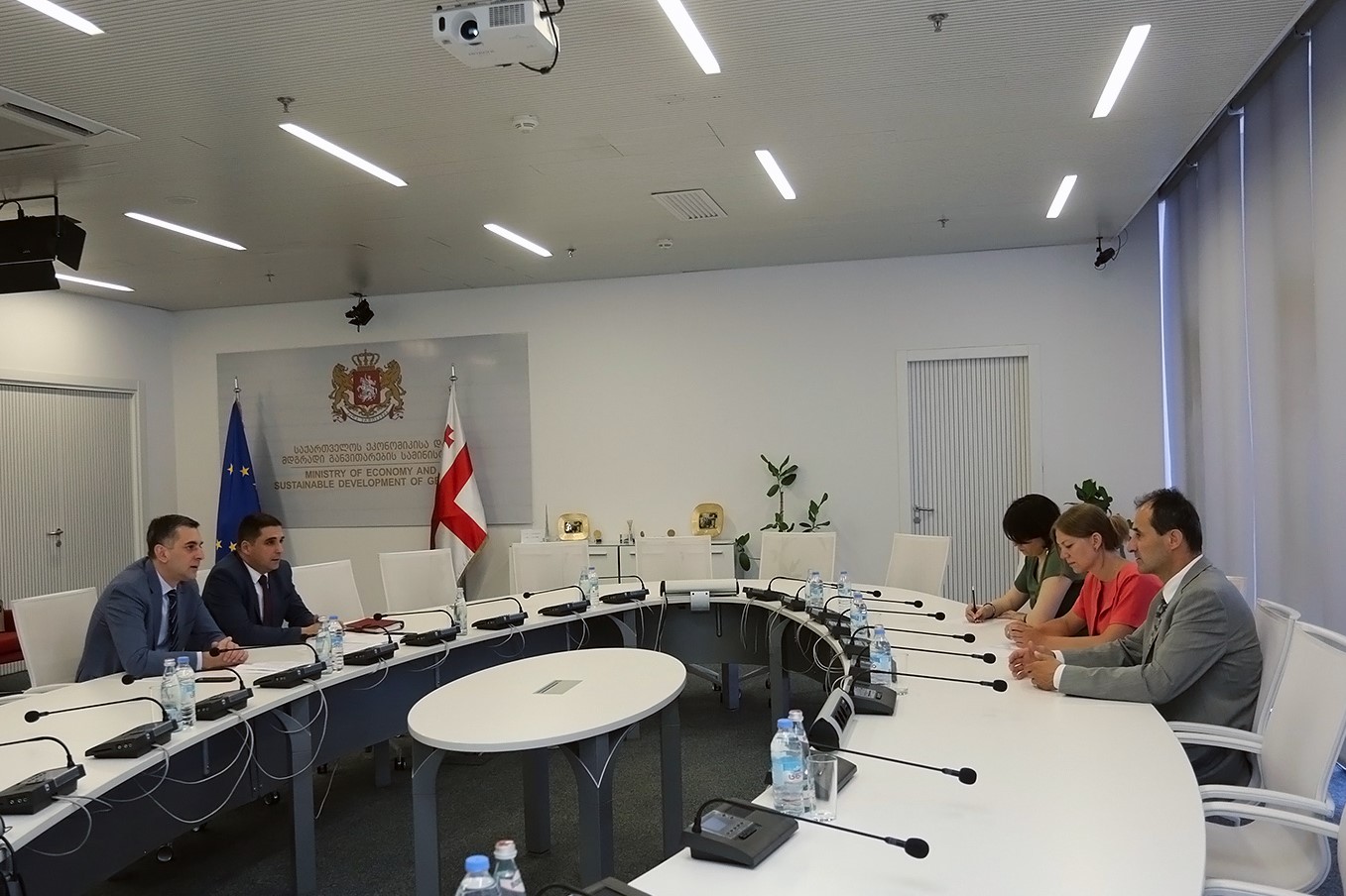 ეკონომიკის მინისტრმა და ენერგეტიკული გაერთიანების სამდივნოს დირექტორმა საქართველოს ენერგეტიკის სექტორში მიმდინარე და დაგეგმილი რეფორმები განიხილეს