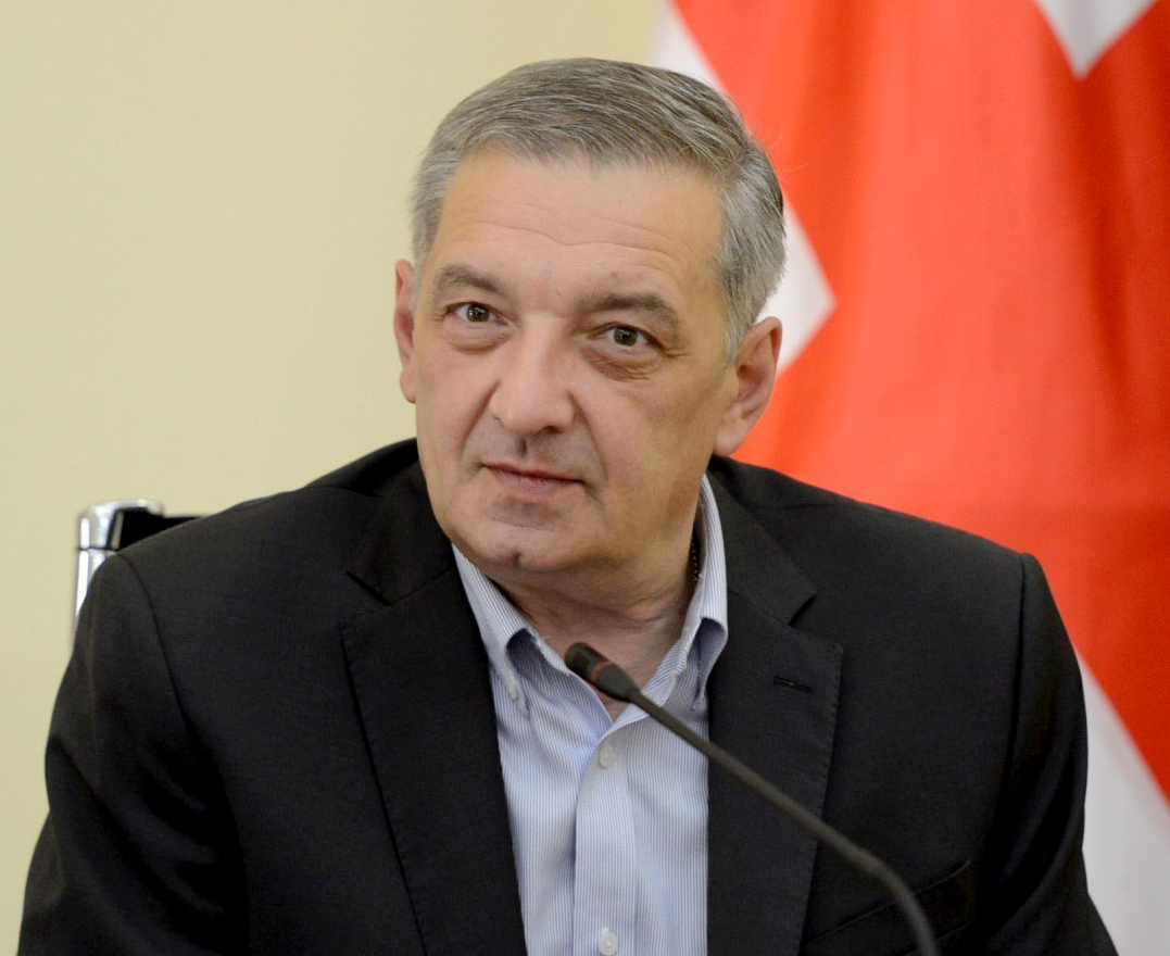 „ქართული ოცნების“ საპრეზიდენტო კანდიდატთან დაკავშირებით არაფერი არ არის გადაწყვეტილი - გია ვოლსკი