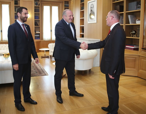 გიორგი მარგველაშვილმა ევროპარლამენტის მომხსენებელი ანდრის მამიკინსი მიიღო