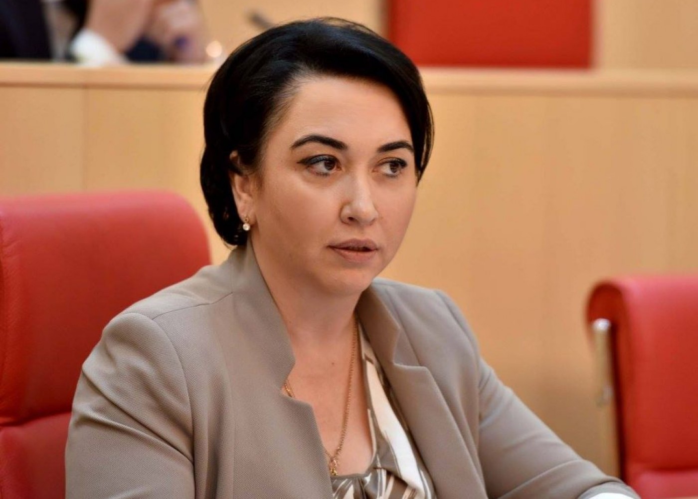 ივანიშვილი საკუთარი პირადი რესურსით ძალიან დიდ ფულს ხარჯავს იმისთვის, რომ გზები მოწესრიგდეს - ეკა ბესელია 