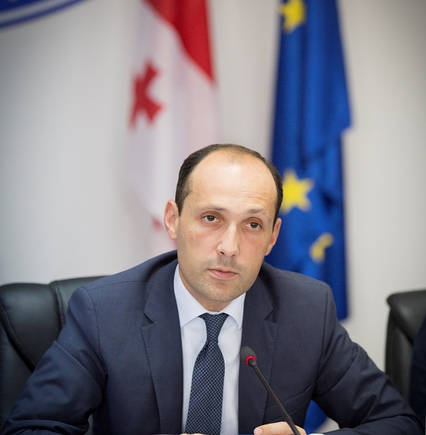 ლევან დავითაშვილი: აბსურდია საუბარი, რომ უნიკალური დენდროლოგიური პარკის მოწყობის პროცესი ნეგატიურ გავლენას ახდენს გარემოზე
