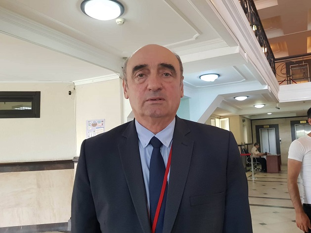 ანა ნაცვლიშვილის სიკვდილი ყელის არეში მიყენებულმა 14-მა ჭრილობამ განაპირობა - გრიგოლ ბიბილაშვილი