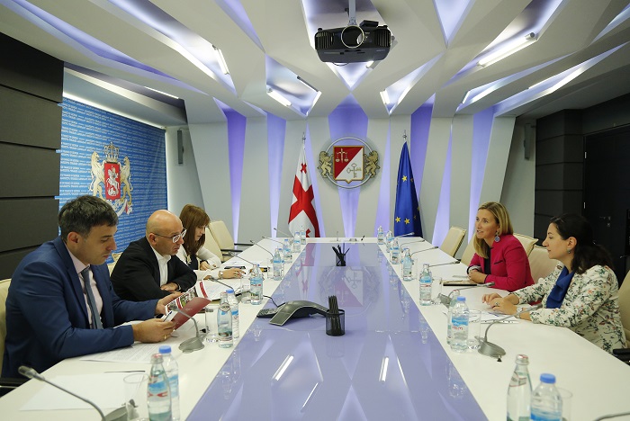 ივანე მაჭავარიანი საქართველოში ათასწლეულის გამოწვევის კორპორაციის საქართველოს წარმომადგენლობის დირექტორს შეხვდა