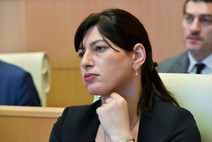 მოვისმინეთ არაერთი მნიშვნელოვანი გზავნილი კანცლერის მხრიდან - სოფო ქაცარავა