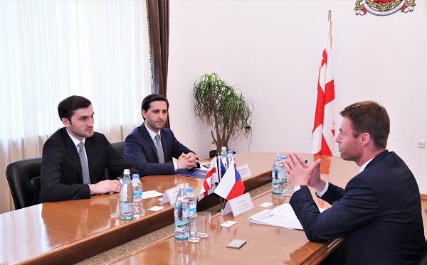 თორნიკე რიჟვაძე  ჩეხეთის რესპუბლიკის ელჩის მოვალეობის შემსრულებელს შეხვდა