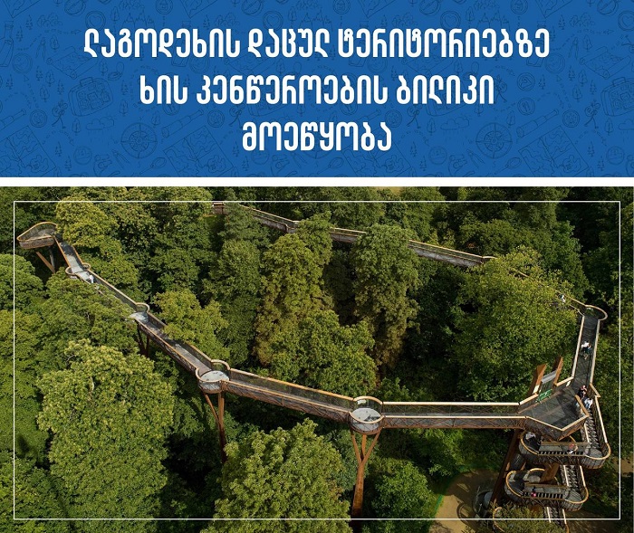 ლაგოდეხის დაცული ტერიტორიებზე ხის კენწეროების ბილიკი მოეწყობა