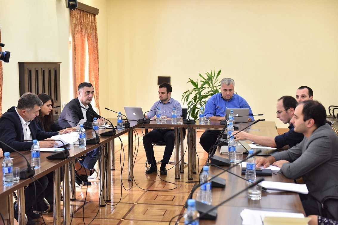 პარლამენტის დროებითი საგამოძიებო კომისიის წევრები არასამთავრობო ორგანიზაციების წარმომადგენლებს შეხვდნენ