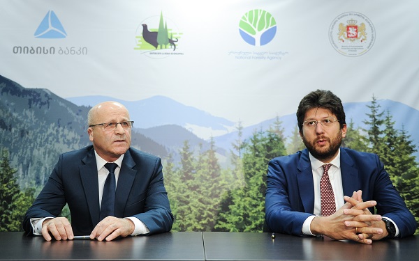 "თიბისი ბანკის" ინიციატივით ბორჯომის ტყის აღდგენის პროცესი იწყება