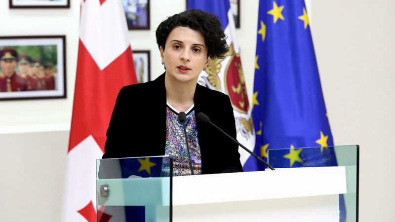 თუ პარლამენტი საკითხის განხილვის გადაწყვეტილებას მიიღებს, შსს მისი კომპეტენციის ფარგლებში ჩაერთვება - მეზვრიშვილი