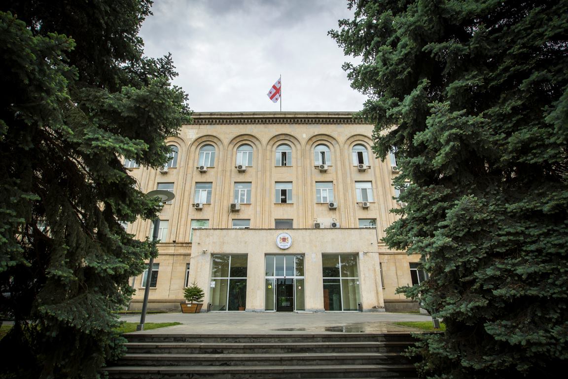 ლევან დავითაშვილი საფრანგეთის რესპუბლიკის  სენატორს შეხვდა