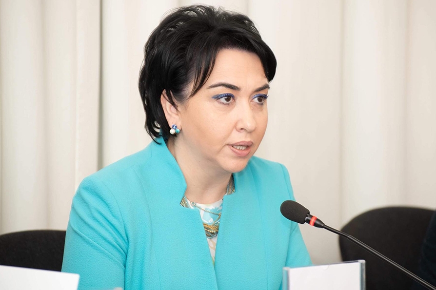 მაია ოთინაშვილის საქმეში ჩართულია ყველა პარტნიორი და მოკავშირე - ეკა ბესელია