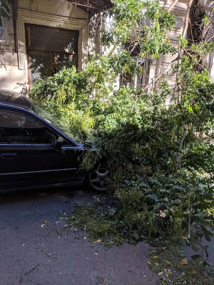 დედაქალაქში ძლიერი ქარის გამო, საგანგებო სიტუაციების მართვის სამსახურში 10 შეტყობინება შევიდა