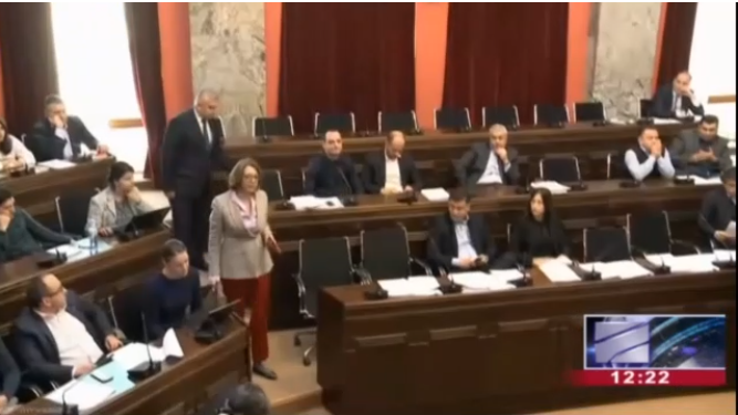 „ბიძინას თოჯინის მოსმენა მოგვბეზრდა“ - ბესელიამ სამადაშვილს კომიტეტის სხდომა დაატოვებინა