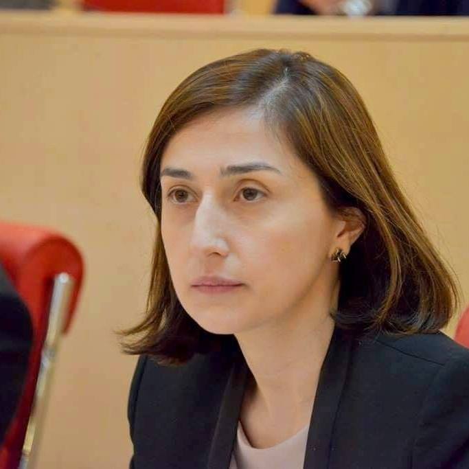 საქართველოსა და აშშ-ს შორის თავისუფალი ვაჭრობის საკითხს სულ უფრო მეტი მხარდაჭერა აქვს აშშ-ს პოლიტიკურ წრეებში - ნინო გოგუაძე