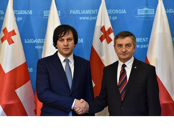 ირაკლი კობახიძე პოლონეთის სეიმის მარშალს შეხვდა