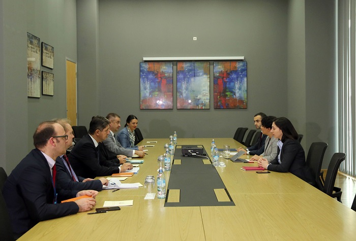 ნათია მეზვრიშვილმა ევროპის საბჭოს დელეგაციას არჩევნების დროს მომხდარ ინცინდენტებზე მიმდინარე გამოძიების შესახებ ინფორმაცია მიაწოდა