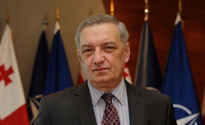 ვაშაძემ მნიშვნელოვნად დაკარგა მხარდაჭერა მას შემდეგ, რაც სააკაშვილმა არაადეკვატური განცხადებები გააკეთა - ვოლსკი