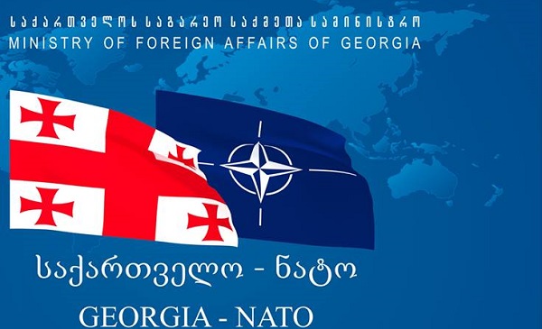 ჩრდილოატლანტიკური საბჭო საქართველოს და უკრაინის საგარეო საქმეთა მინისტრებს შეხვდება