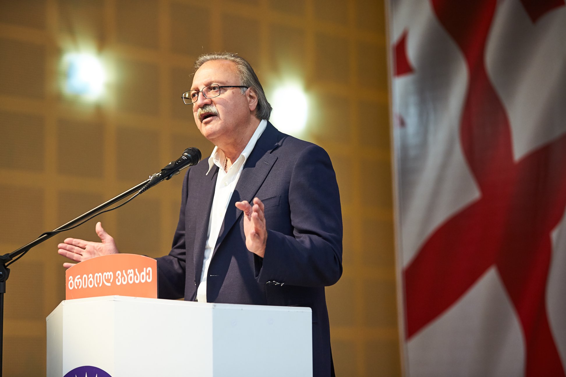 დიდი მადლობა, საქართველოს მე-4 პრეზიდენტს -  გრიგოლ ვაშაძე