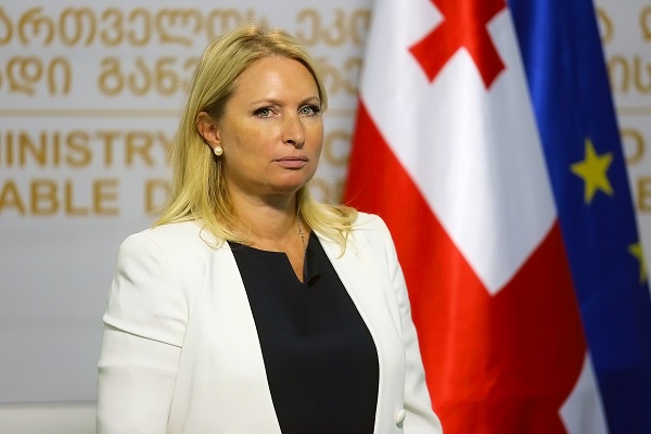 ნათია თურნავა ენერგეტიკული გაერთიანების სამდივნოს დირექტორს იანეს კოპაჩს შეხვდა