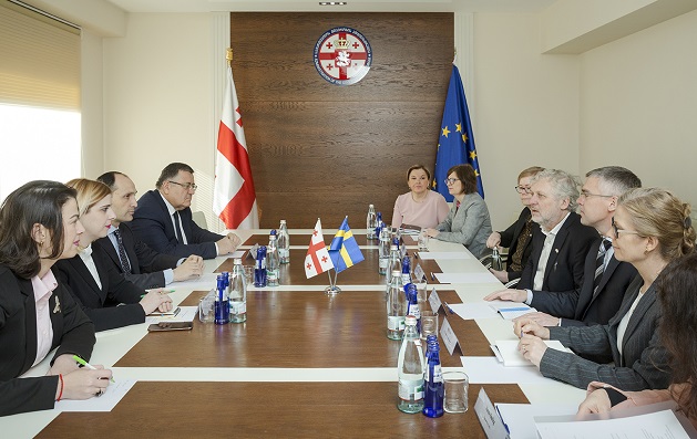 ლევან დავითაშვილი შვედეთის დელეგაციის წარმომადგენლებს შეხვდა