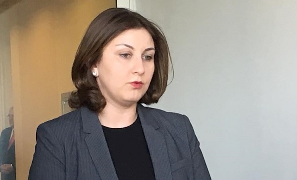 ცესკოს  ვებგვერდზე  ამომრჩეველთა სიას იყენებენ ე.წ. სესხის ამომღები ორგანიზაციები და კერძო დეტექტივები   - თამარ ქალდანი