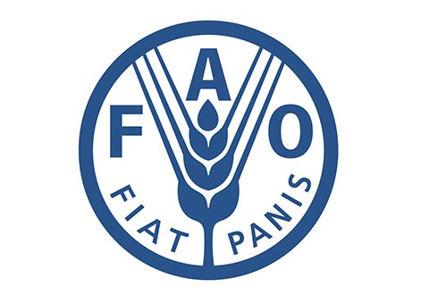 FAO-ს სურსათის ფასების ინდექსი მარტში სტაბილურობით გამოირჩეოდა 