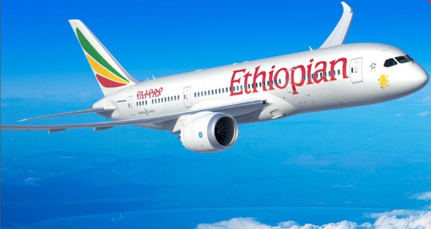 Ethiopian Airlines-ის Boeing 737 MAX-ის ავიაკატასტროფის სავარაუდო მიზეზი ფრინველთან შეჯახება გახდა