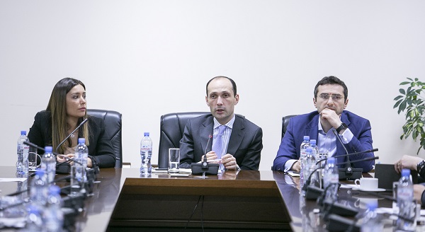 ლევან დავითაშვილი გარემოსდაცვით საკითხებზე მომუშავე არასამთავრობო ორგანიზაციების წარმომადგენლებს შეხვდა