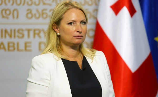 ნათია თურნავამ ფოთის პორტთან დაკავშირებით ტექნიკური და სამშენებლო ზედამხედველობის სააგენტოს ხელმძღვანელი თანამდებობიდან გაათავისუფლა