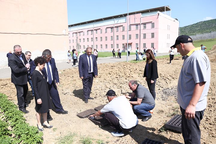 იუსტიციის მინისტრის ინიციატივით, გლდანის საპყრობილეში პატიმრების დასაქმების პროექტი ამოქმედდა