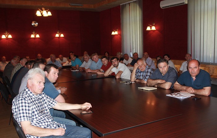 აზიური ფაროსანას საწინააღმდეგო ღონისძიებები მეფუტკრეებთან კოორდინირებულად მიმდინარეობს