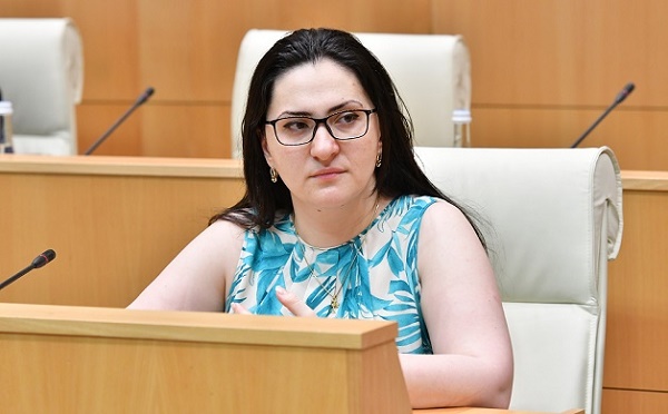სამშობლოსთვის დაღუპული გმირების სულები ალბათ ადგილს ვერ პოულობენ - სოფო კილაძე