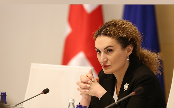 20 ივნისს ის იცავდა საქართველოს კონსტიტუციასა და უსაფრთხოებას - ქეთევან ცხელაშვილი გახარიაზე