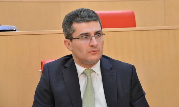 ოპოზიცია პანიკობს, რადგან მათ დროს წარმოუდგენელი იყო, რომ საკითხი ასე განეხილათ - მდინარაძე