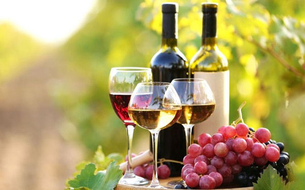 ქართული ღვინო, სოფიაში მიმდინარე Balkans International Wine Competition and Festival-ზე წარდგა