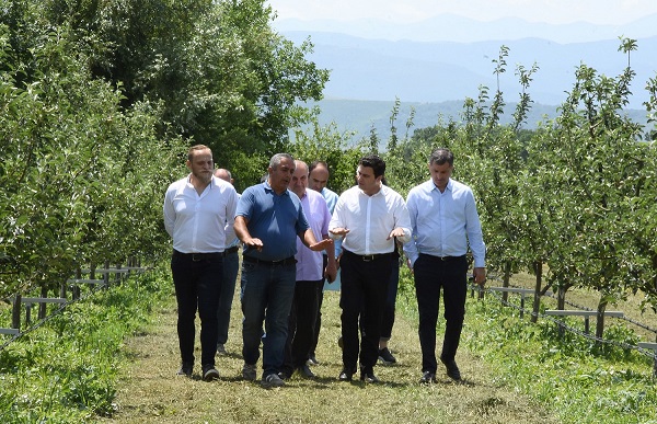 აგროდაზღვევის პროგრამით მოსარგებლე შიდა ქართლელ ფერმერებს მიყენებული ზარალი აუნაზღაურდებათ