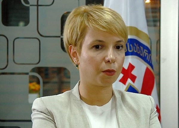  ნინო ლომჯარია რამდენიმე ანგარიშს წარადგენს