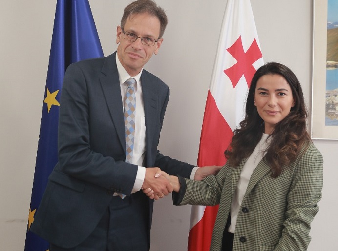 მარიამ ქვრივიშვილი საქართველოში გერმანიის ელჩს შეხვდა