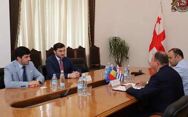 თორნიკე რიჟვაძე საქართველოში მოლდოვის ელჩს შეხვდა