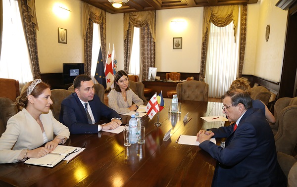 გიორგი ტყემალაძე საქართველოში რუმინეთის ელჩს შეხვდა