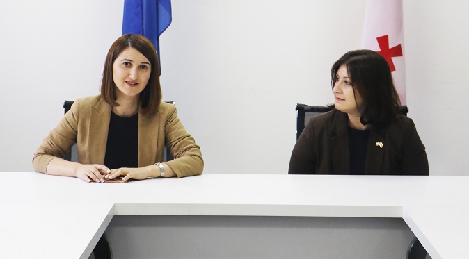 ლონდა თოლორაია სახელმწიფო ინსპექტორის უფლებამოსილების განხორციელებას შეუდგა