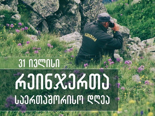 31 ივლისი რეინჯერთა მსოფლიო დღეა