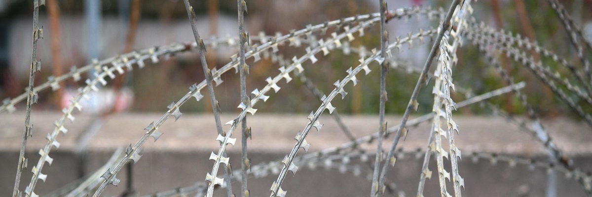 საქართველოს ხელისუფლება ბორდერიზაციაზე მეტ ყურადღებას უნდა ამახვილებდეს - დევიდ კრამერი