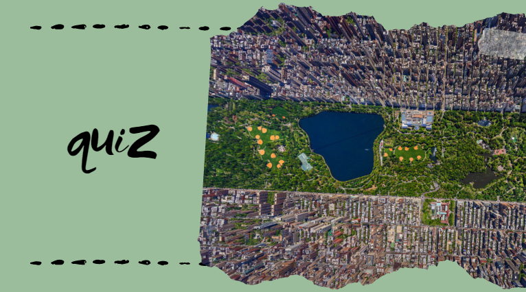 Quiz: შეგიძლიათ, გამოიცნოთ მსოფლიოს ქალაქები ქუჩების გეგმების მიხედვით?